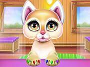 Kitty Ballerina Care And Dressup