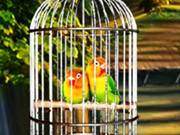 Rescue The Love Birds