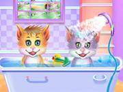 Twin Kitties Spa Caring