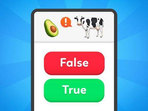 True False – Quiz