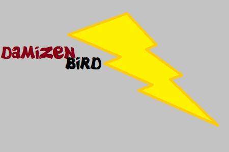 Damizen Bird the Game