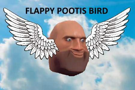Flappy Pootis Bird