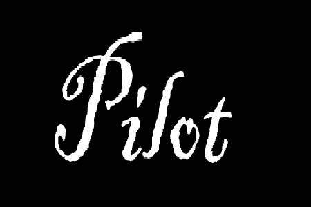 Pilot X