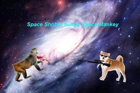 Space Shober Bullys Space Mokeys